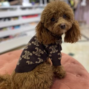 Светр Стиль класу Celine коричневий