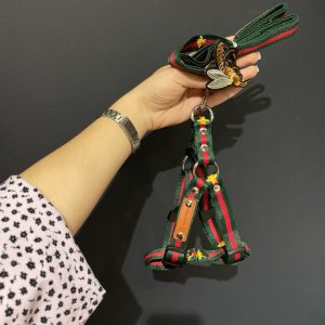 Набір шлейка+повідець Стиль класу Gucci