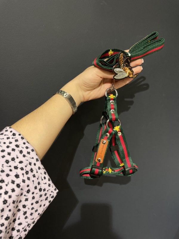 Набір шлейка+повідець Стиль класу Gucci