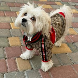 Куртка Стиль класу Gucci