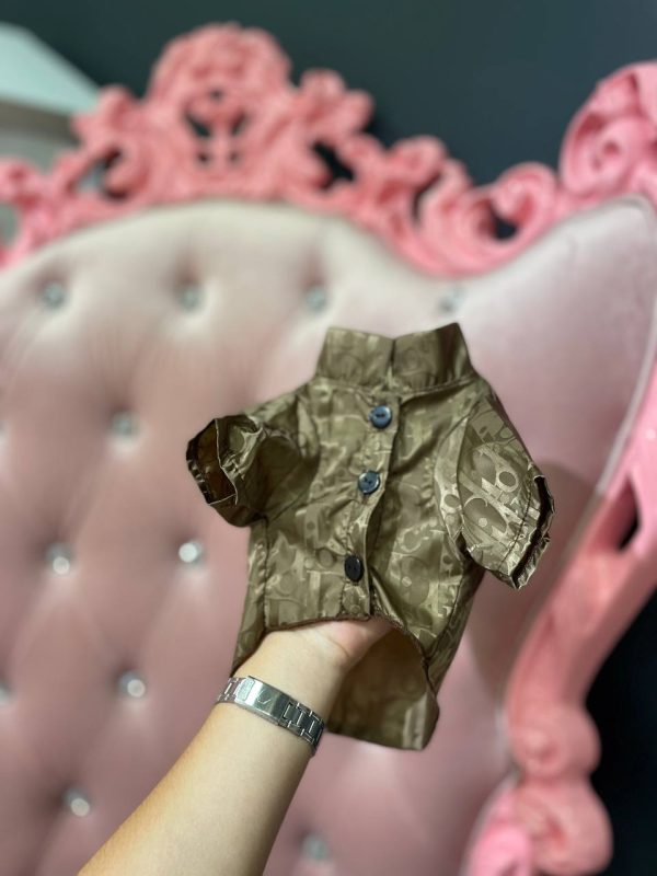 Дощовик Стиль класу Dior коричневий