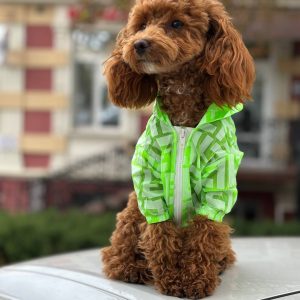 Дощовик зелений Стиль класу Fendi