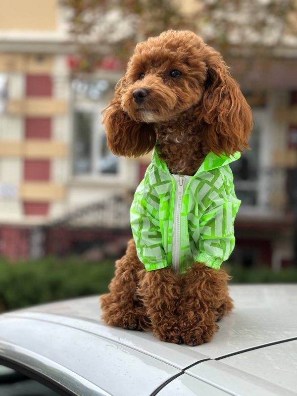 Дощовик зелений Стиль класу Fendi