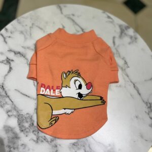 Футболка помаранчева Дейл XS