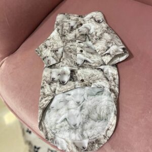 Дощовик барашек