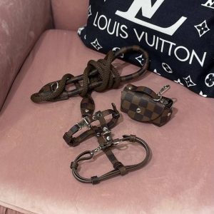 Набір шкіряний Стиль класу Louis Vuitton коричневий в клітинку S
