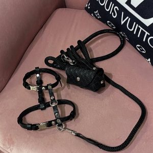 Шкіряний набір Стиль класу Gucci ( шлея) S