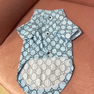 Дощовик Стиль класу Gucci блакитний