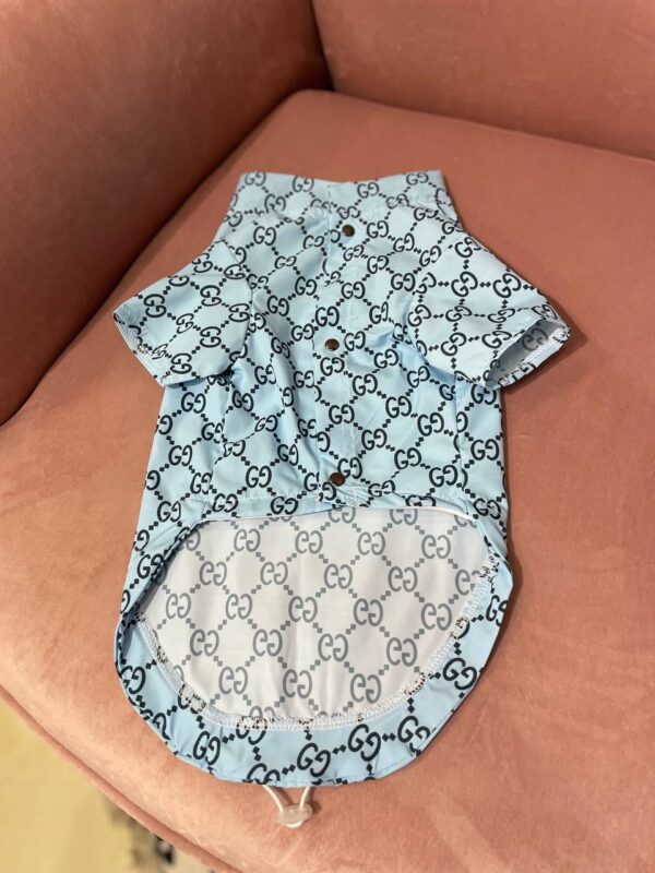 Дощовик Стиль класу Gucci блакитний